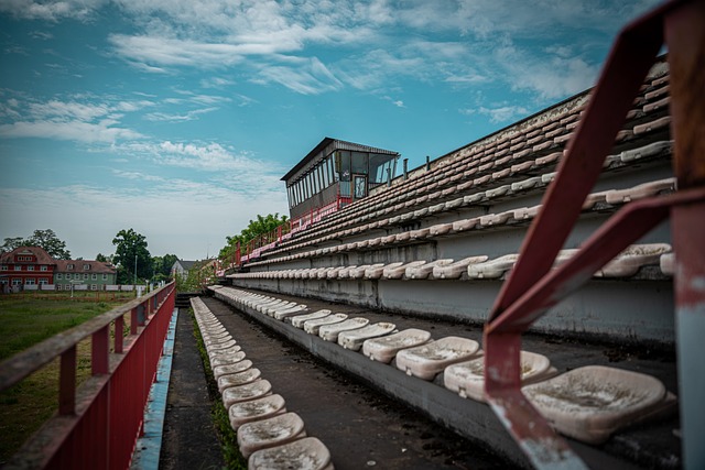 皇家馬德里 皇家馬德里