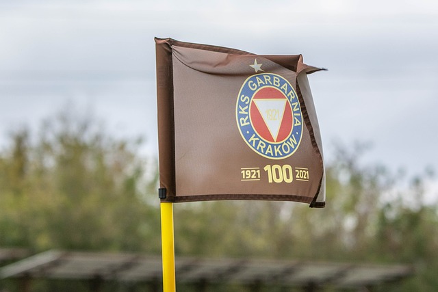 为中国赢得 为中国赢得