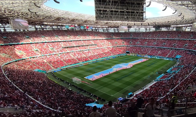 路奠定了基 路奠定了基