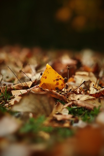 为何是利物 为何是利物