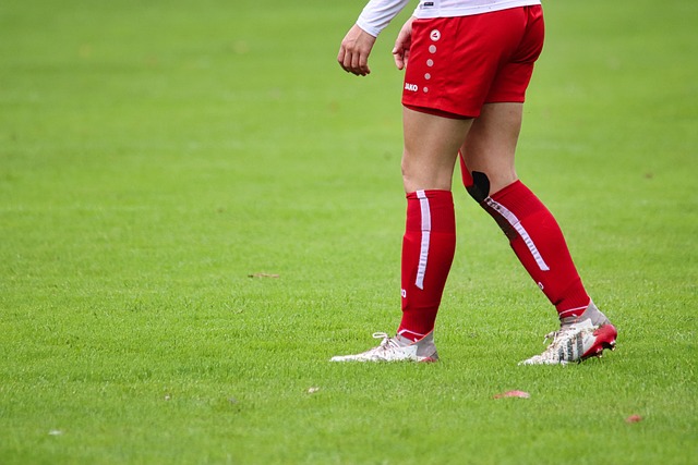 以充分发挥 以充分发挥