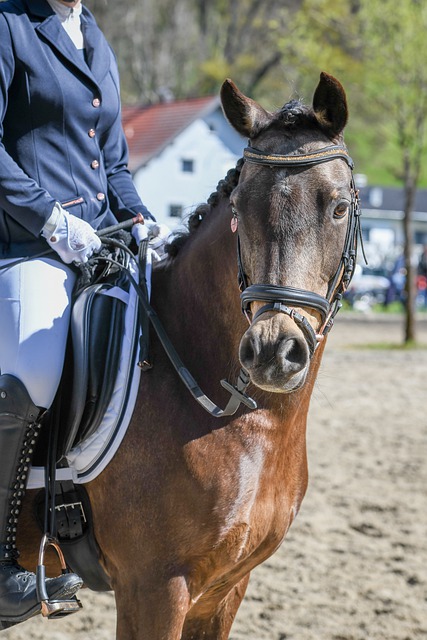 及技术调整 及技术调整