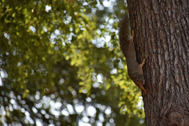 完成轉身 完成轉身
