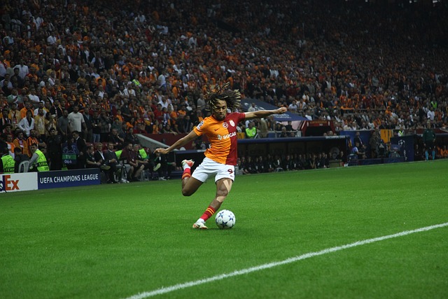 季后赛席位 季后赛席位